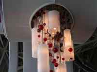 IMG 4774