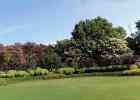 Arboretum