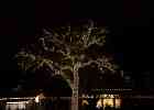IMG 5835