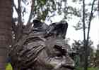 IMG 6509