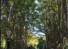 IMG 0077