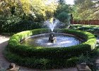 IMG 0078