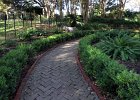 IMG 0080