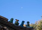 IMG 0092