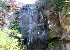 IMG 0095