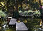 IMG 0096