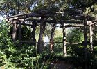 IMG 0101