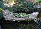 IMG 0106