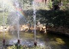 IMG 0116