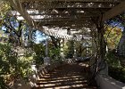 IMG 0121