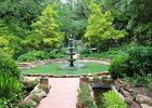 IMG 0683
