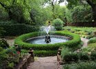 IMG 0686