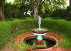 IMG 0711