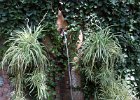 IMG 6673