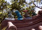 IMG 6677