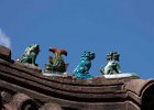 IMG 6680