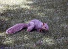 IMG 6705