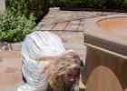 IMG 6238