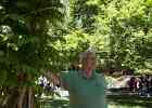 IMG 6246