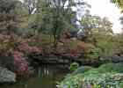 IMG 0285