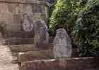 IMG 6175