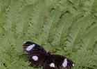IMG 5743