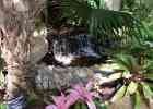 IMG 5745