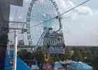 IMG 5687