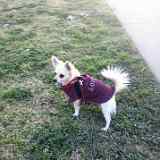 New coat