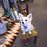 Queen on Throne