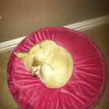Sleepy Baby Girl