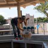 IMG 4848