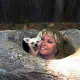 Dawn  and Hope in Log