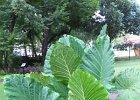IMG 0029