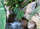 IMG 0043