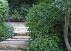 IMG 0049