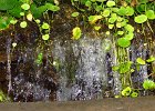 IMG 0080