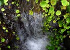 IMG 0083