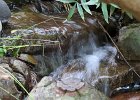 IMG 0085