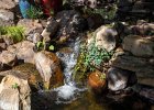 IMG 0356