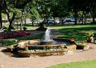 IMG 0423
