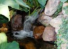 IMG 0434
