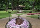 IMG 0487