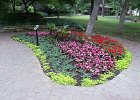 IMG 0488