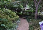 IMG 0490