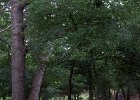 IMG 0492