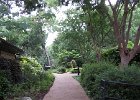 IMG 0499