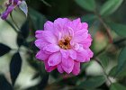 MG 0065