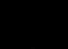 IMG 1778