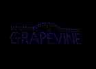 Grapevine Drones 2023